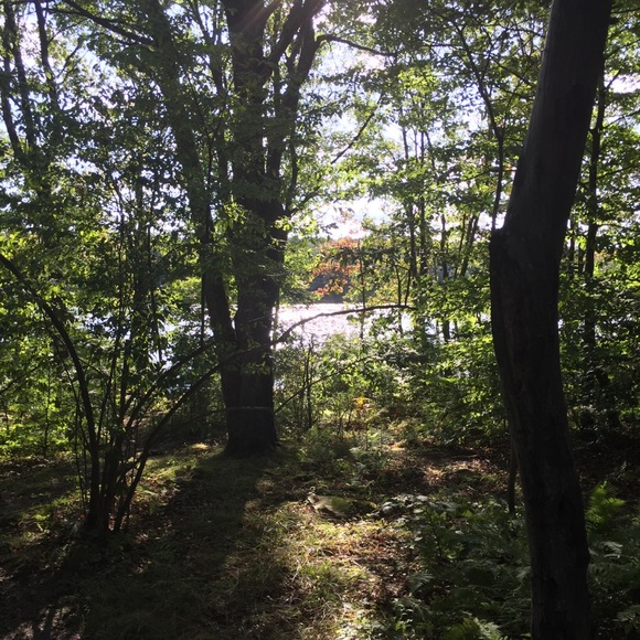 Meet your Posher, Mill - Picture 1 of 1